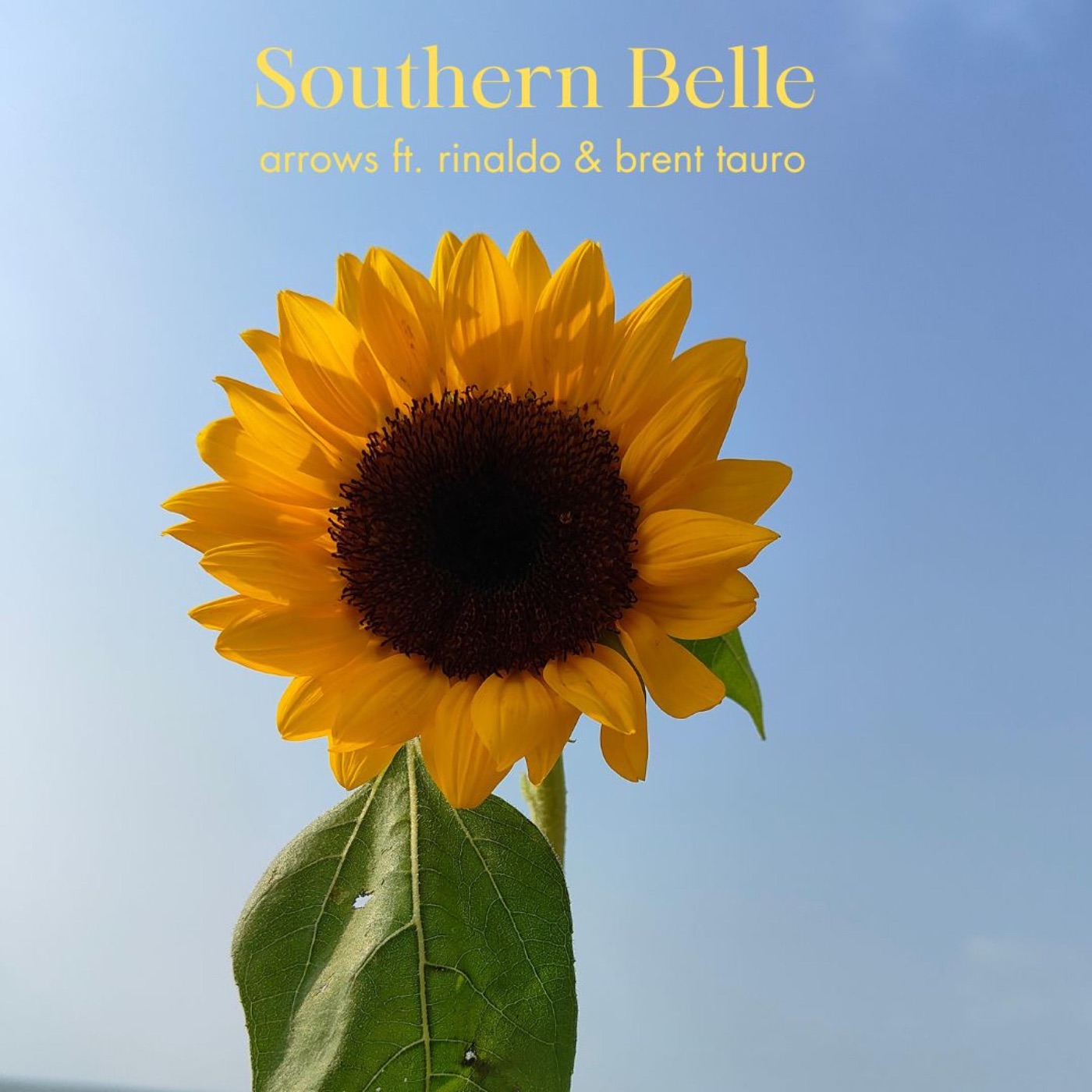 Southern Belle artwork